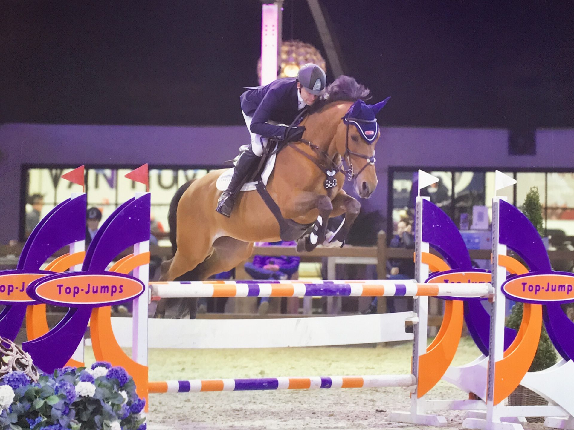 Dutch Equi Learn