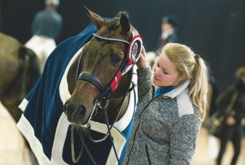 Dutch Equi Learn
