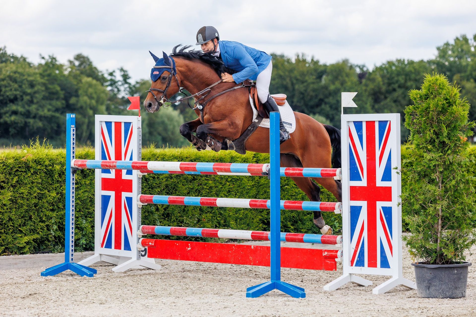 Dutch Equi Learn